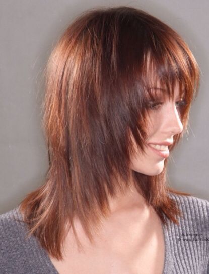 Aslan yelesi saç modeli