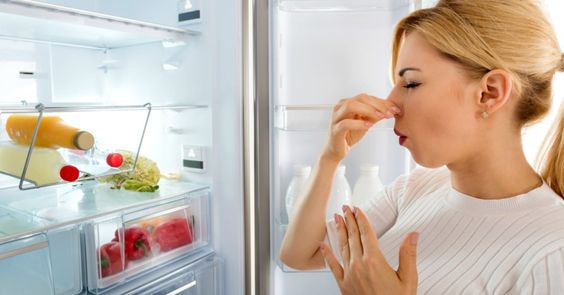 Buzdolabı kokusunu ne alır