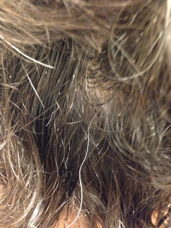 Sacta-bit-olmadan-sirke-olur-mu